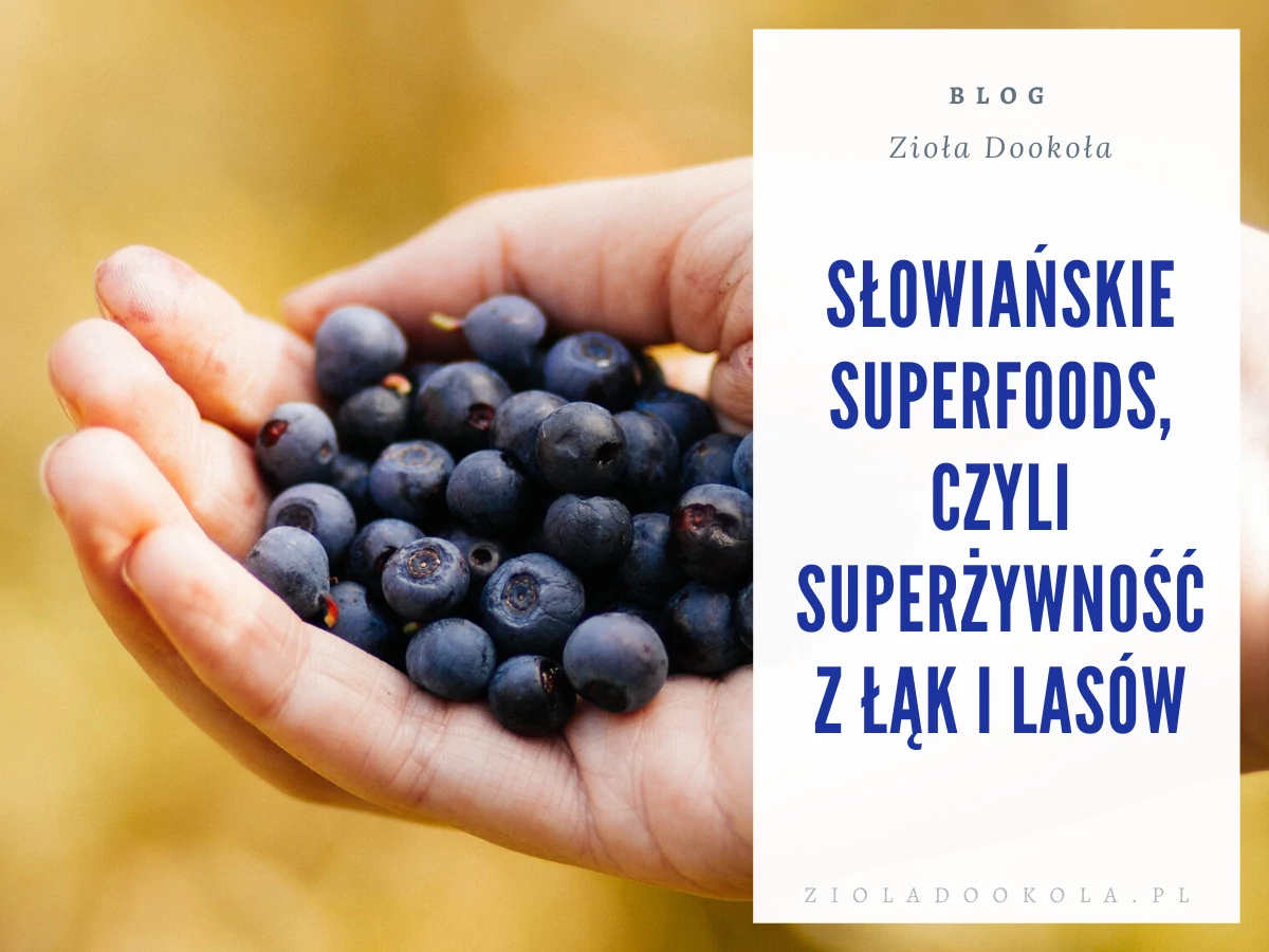 Słowiańskie superfoods, czyli superżywność z łąk i lasów